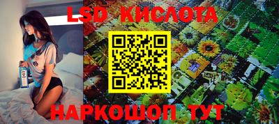 крисы Славянск-на-Кубани