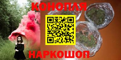 крисы Славянск-на-Кубани