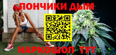 дурь Сланцы