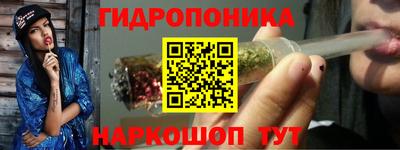 дживик Славгород