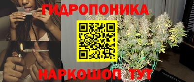 дживик Славгород