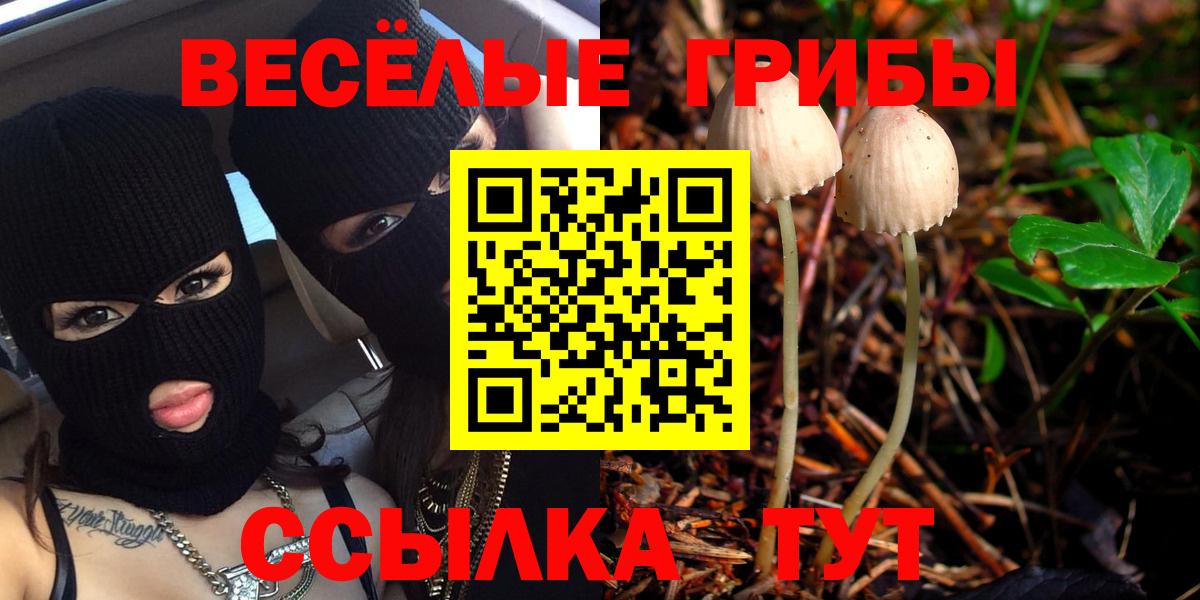 Галлюциногенные грибы Psilocybine cubensis  Вход с VPN  Сердобск 